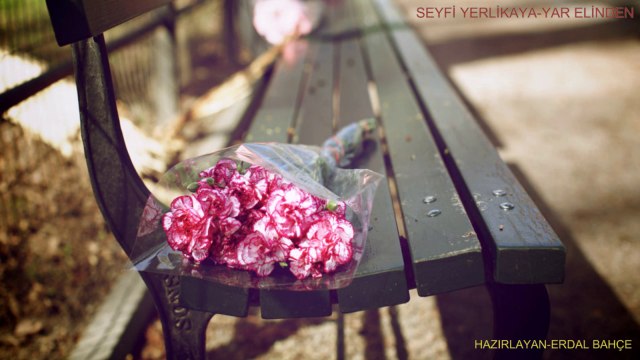 SEYFİ YERLİKAYA-YAR ELİNDEN
