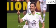 Daniel Caligiuri Goal Inter 0 - 1 Wolfsburg Europa League 19-2-2015