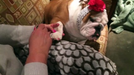 Best dog girl nail polish