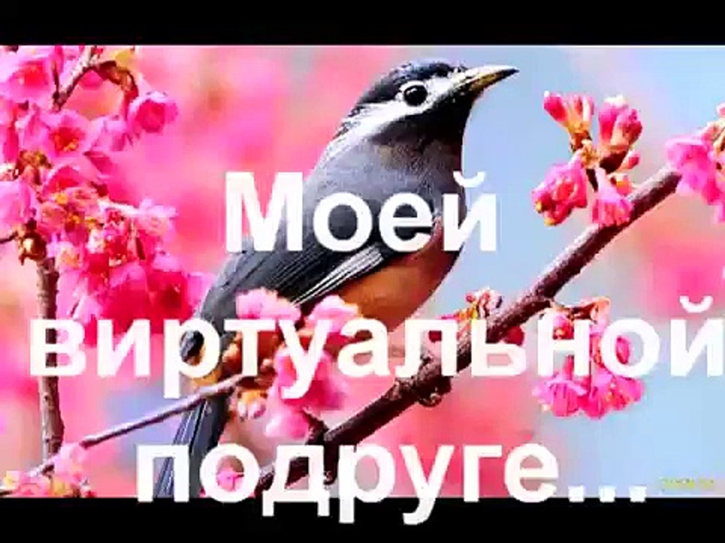 ⁣Красивая музыка о нежности и любви (Арабатский конь)