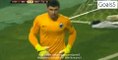 Ramon Motta Amazing Goal Besiktas 1 - 0 Club Brugge Europa League 19-2-2015