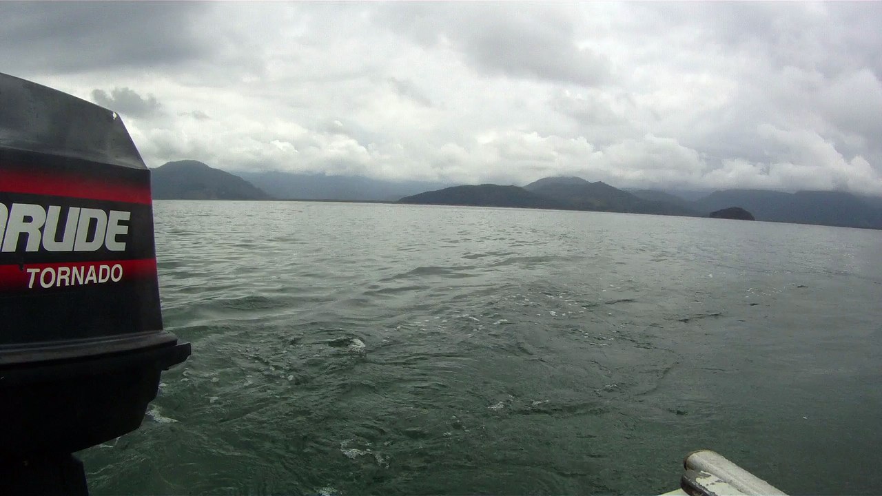 Ilha do Tesouro, Moai Gigante da Ilha da Páscoa, Praia Secreta, Peixes Venenosos, Navegação no Arquipélago da Almada, 25 milhas submarinas, Marcelo Ambrogi, Ubatuba, SP, Brasil, (50)