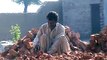 EH dairy farm 419jb gojra pakistan (105) ANIMALS
