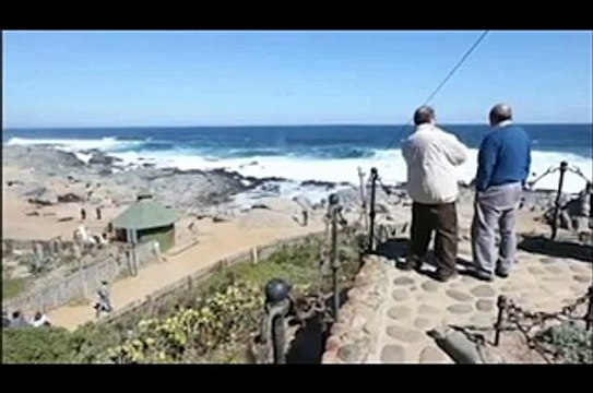Exhuman a Pablo Neruda de su tumba frente al mar para saber si fue asesinado