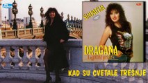 Dragana Mirkovic - Kad su cvetale tresnje (Audio 1989)