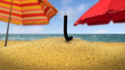 Minuscule - Thievish as a Magpie / Pie Voleuse (Season 2)