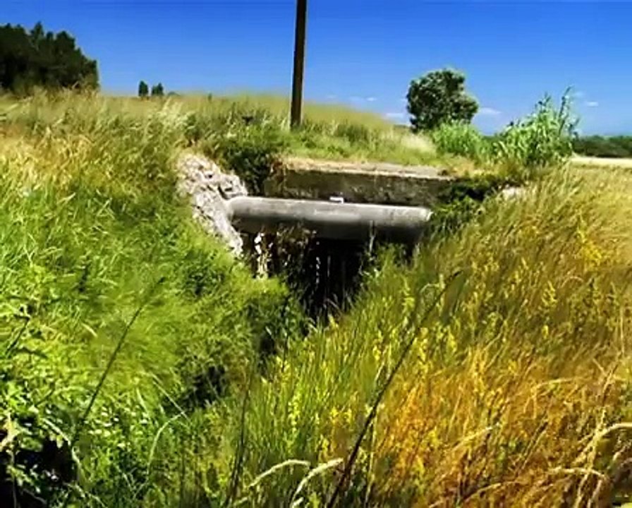 Minuscule - The Ants / Les Fourmis (Season 2)