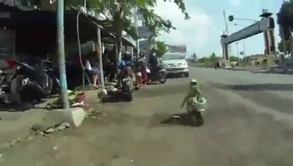 Un singe en Poket Bike