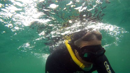 Ilha do Tesouro, Moai Gigante da Ilha da Páscoa, Praia Secreta, Peixes Venenosos, Navegação no Arquipélago da Almada, 25 milhas submarinas, Marcelo Ambrogi, Ubatuba, SP, Brasil, (31)