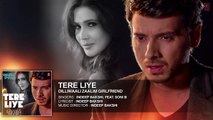 'Tere Liye' FULL AUDIO Song - Indeep Bakshi - Dilliwaali Zaalim Girlfriend