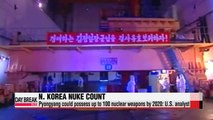 N. Korea could possess up to 100 nuclear weapons by 2020: U.S. analyst