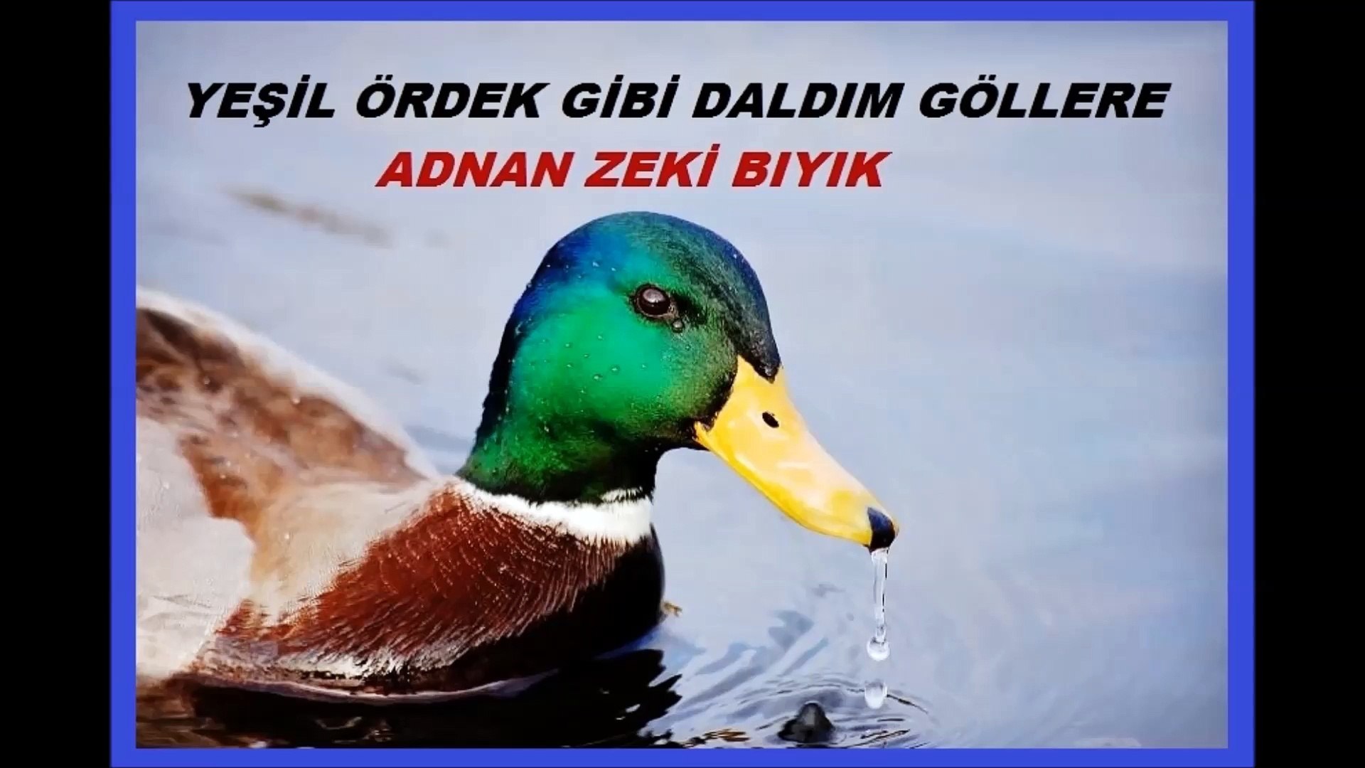 güven hastanesi ayrancı