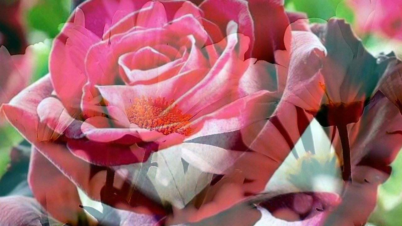 ♫　家族になろうよ　福山雅治　ご出産　ご結婚おめでとう！family　LOVE！