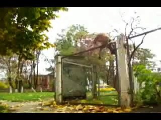 TreT - PARKOUR DOG FROM UKRAINE (TreT-Style)