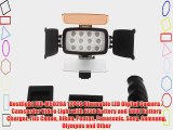 Bestlight LED-M5026A 12PCS Dimmable LED Digital Camera / Camcorder Video Light with F750 Battery