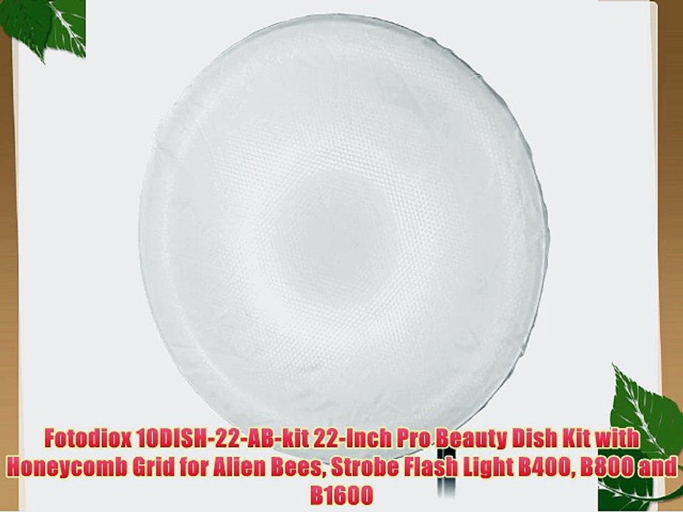 Fotodiox 10DISH-22-AB-kit 22-Inch Pro Beauty Dish Kit with Honeycomb Grid for Alien Bees Strobe
