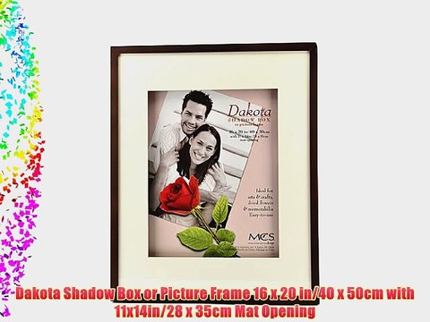 Dakota Shadow Box or Picture Frame 16 x 20 in/40 x 50cm with 11x14in/28 x 35cm Mat Opening