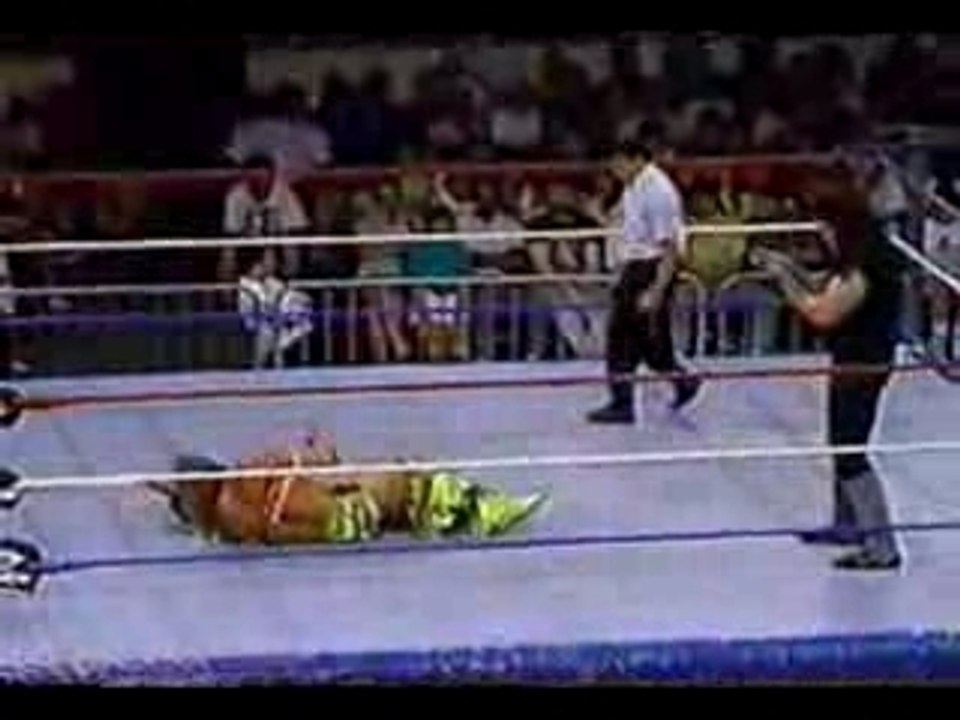 Undertaker vs warrior ultimate
