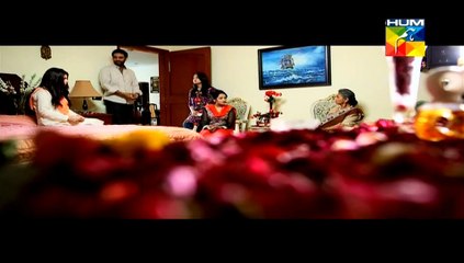 Ay Zindgi 19th march 2015 on Hum TV full Episode HD