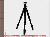 Dolica AX620B100 62-Inch Proline Tripod and Ball Head