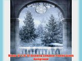 Winter 10' x 10' CP Backdrop Computer Printed Scenic Background