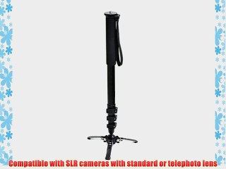Promaster Professional MPV432 Monopod
