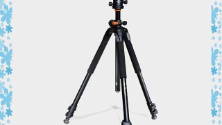 Vanguard Alta Pro 263AB 100 Aluminum Tripod Kit