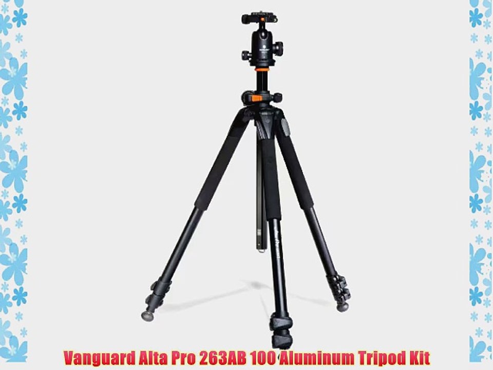 Vanguard Alta Pro 263AB 100 Aluminum Tripod Kit