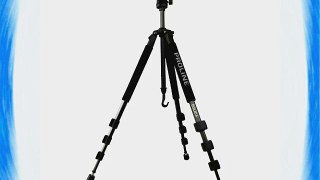 Dolica GX650B204 Proline GX Series 65 inch Aluminum Tripod and Ball Head Combo for DSLR SLR