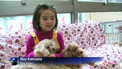 Dogs by the hour: Japan offers pet rental service