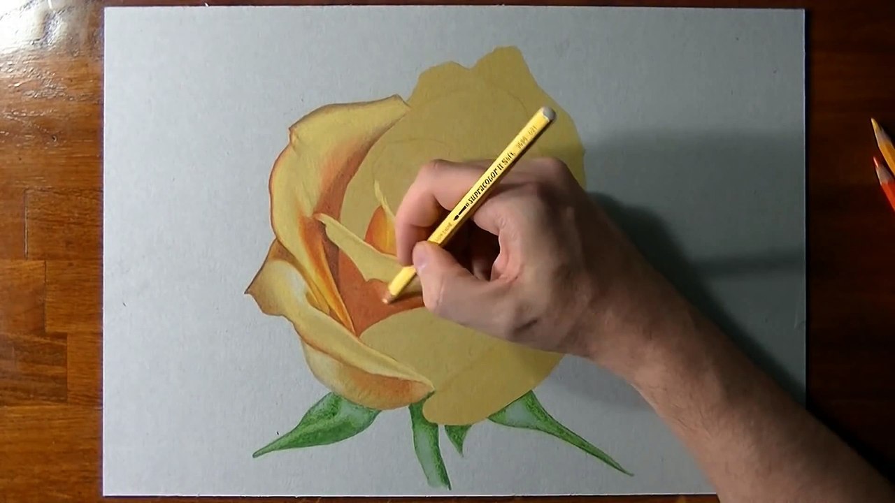 How I draw a yellow rose
