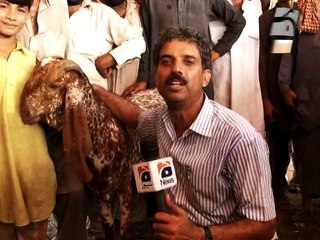 Doodh Denay wala Bakra