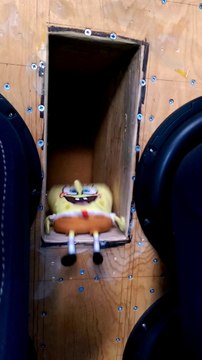 Bob l'éponge danse dans un caisson de basse!