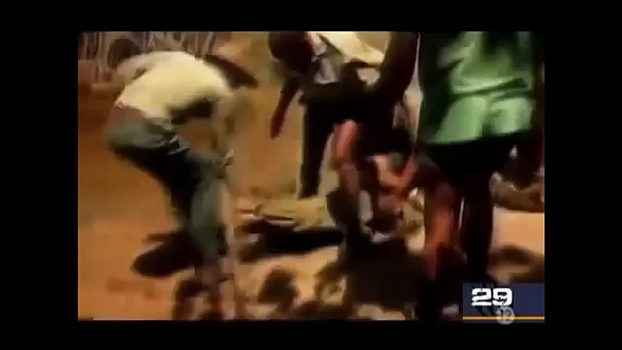 When Animals Attack 2015 - Dangerous Video -