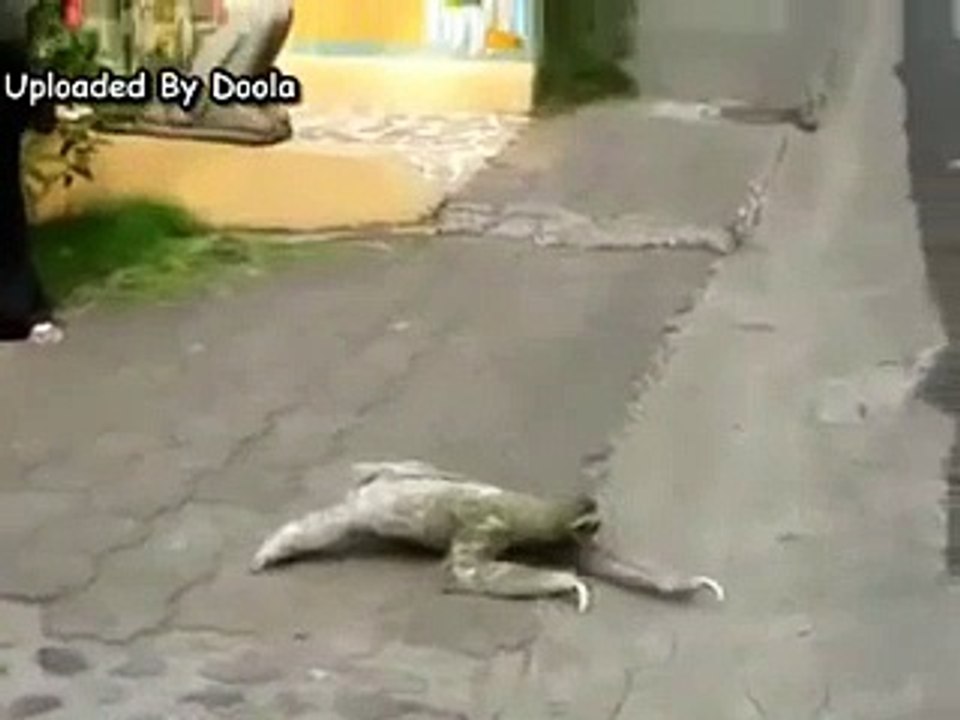 dangeros