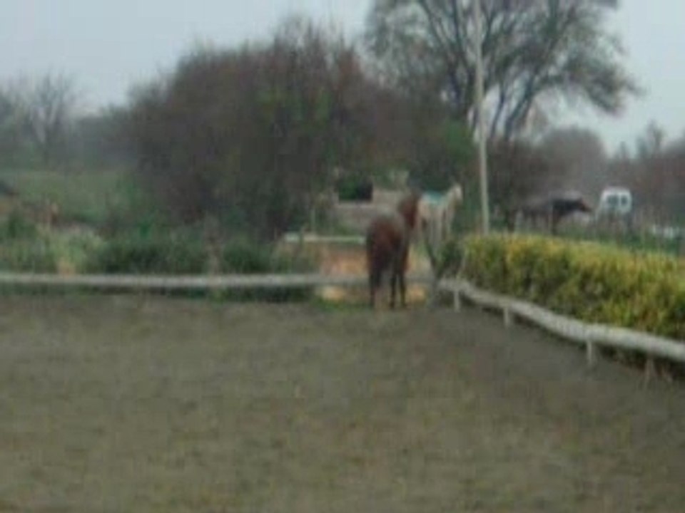 Sinai sous la pluie