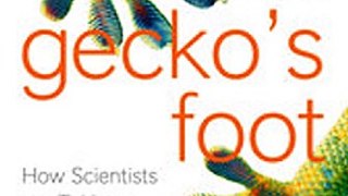 Download The Gecko’s Foot How Scientists are Taking a Leaf from Nature's Book ebook {PDF} {EPUB}