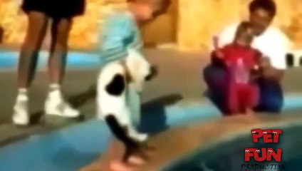 LOL Funny videos   Funny videos of funny animal fail compilation