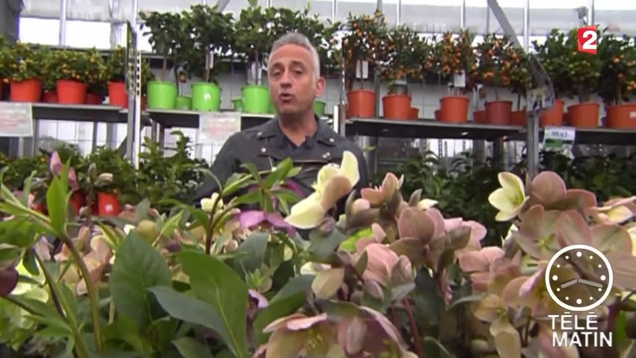 Jardin-Vive le printemps