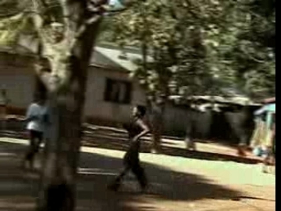 Mamo Lava -Vaiavy Shine