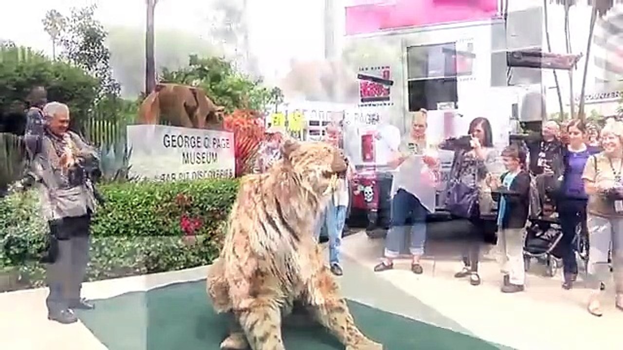 2 million dollar pet lion