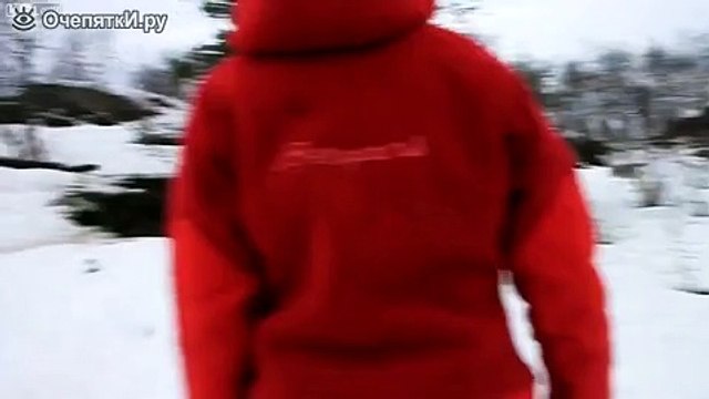 дикие ручные волки