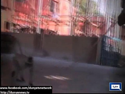 Dunya News - India: Railways hire langurs to curb monkey menace