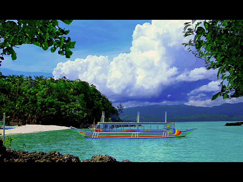 Daily Come For Cricket Animals Travel With Latest Updates