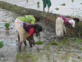 Film Inde Espoir HEC 2007