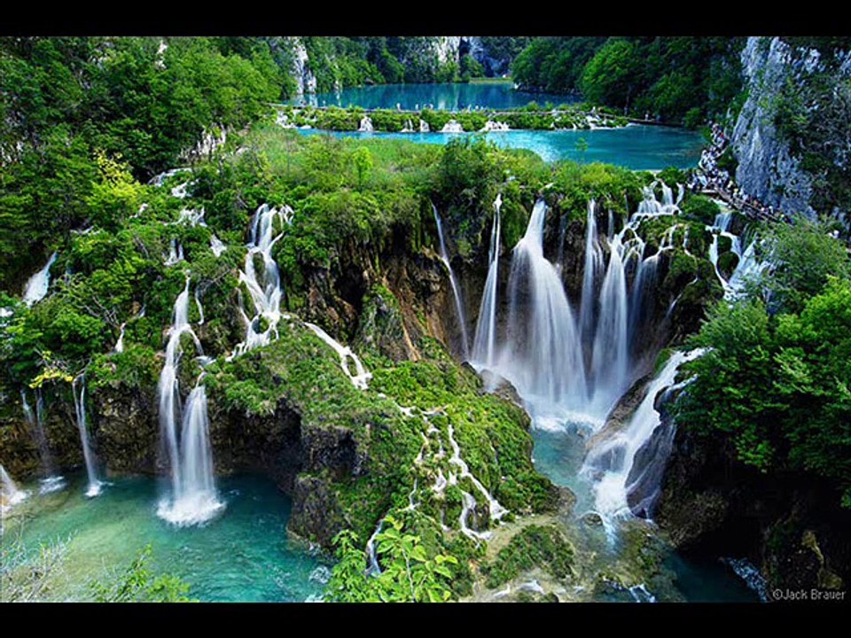 Daily Come For Cricket Animals Travel With Latest Updates