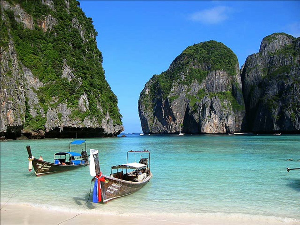 Daily Come For Cricket Animals Travel With Latest Updates