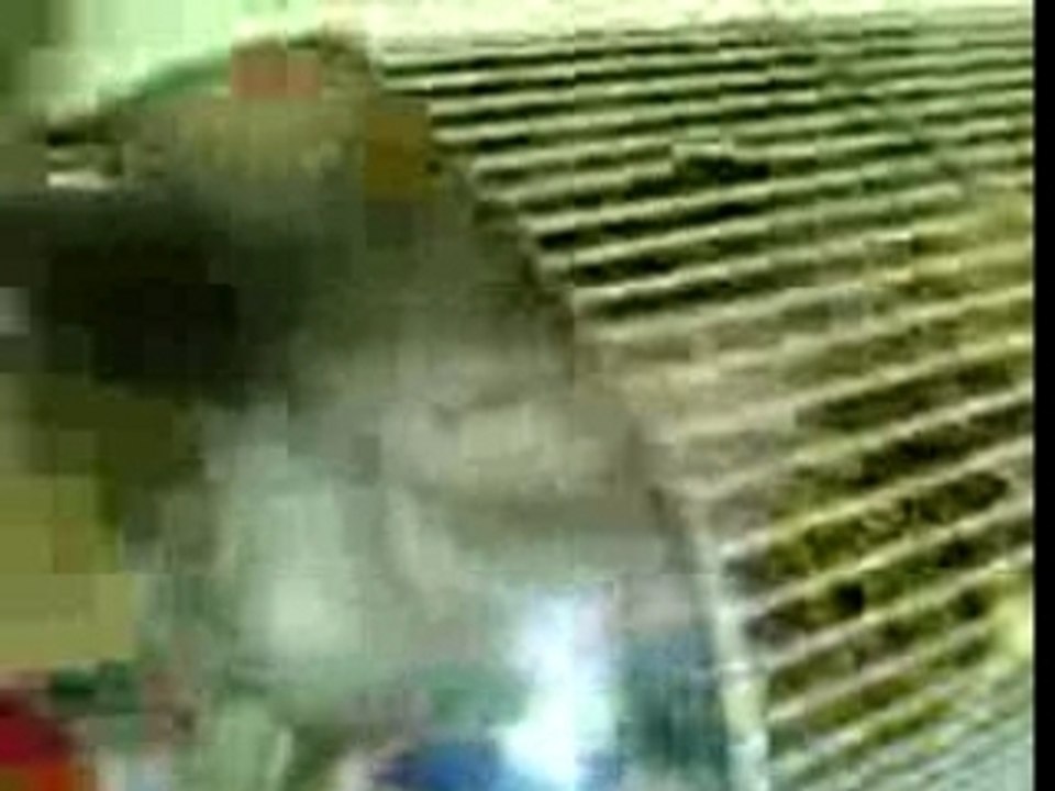 Un chat en cage!