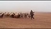 ایک عربی شخص اپنی فوج کے ساتھ سلامی دیتے ہوئے ۔۔ کمال کی ویڈیو ہے