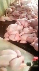 دیکھیں مرغی کے گوشت کا وزن پڑھانے کے لیے کس طرح پانی بھرا جاتا ہے